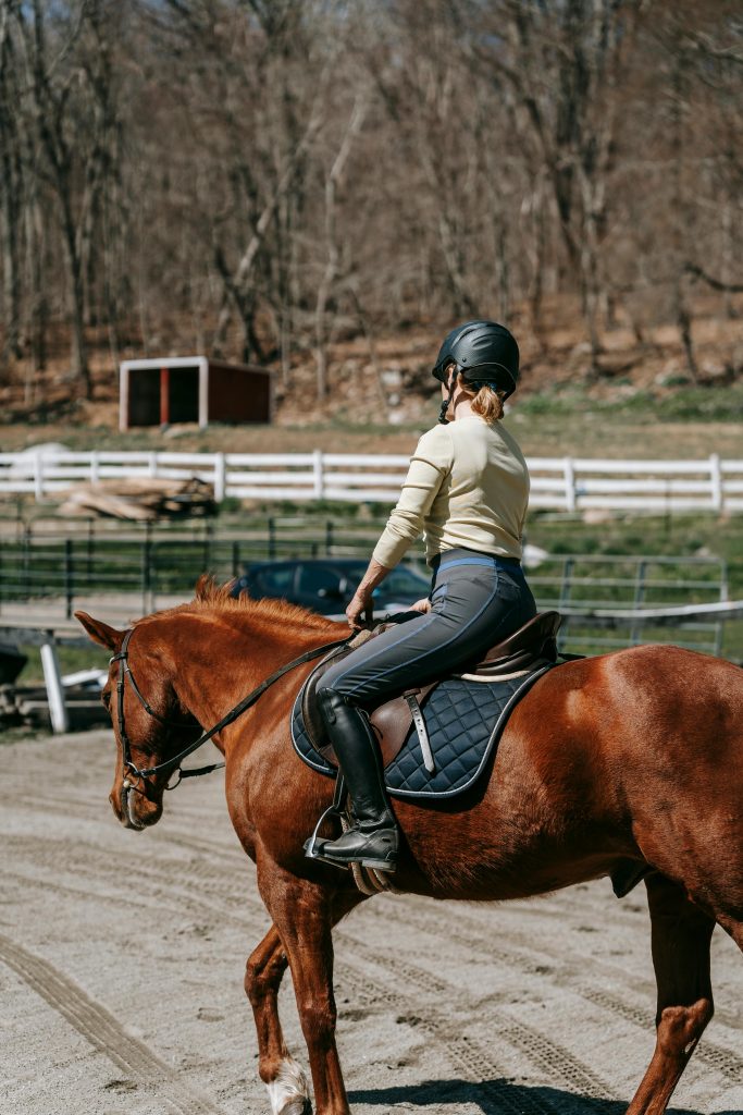 pexels photo 7882964 7882964 A young woman riding a chestnut horse in an outdoor paddock during a sunny day.